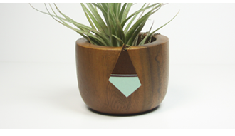 Finch & Olive Shop